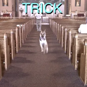 Trick Explicit Lyrics